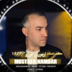 مصطفی نامدار – سر درد